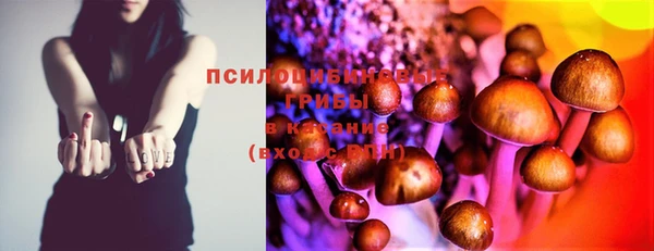 ГАЛЛЮЦИНОГЕННЫЕ ГРИБЫ Кукмор
