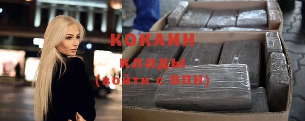 ГАЛЛЮЦИНОГЕННЫЕ ГРИБЫ Кукмор