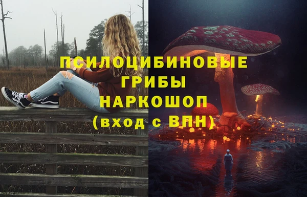 твердый Кулебаки
