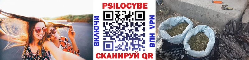 Галлюциногенные грибы Psilocybe  дарк нет клад  Малмыж 
